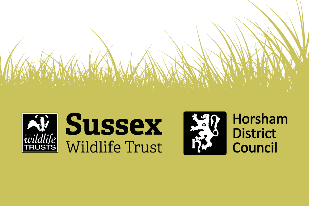 Sussex Wildlife Trust