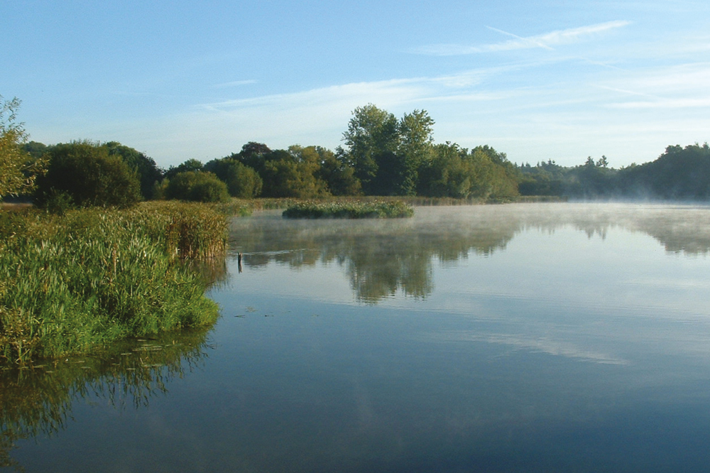 Warnham Nature Reserve
