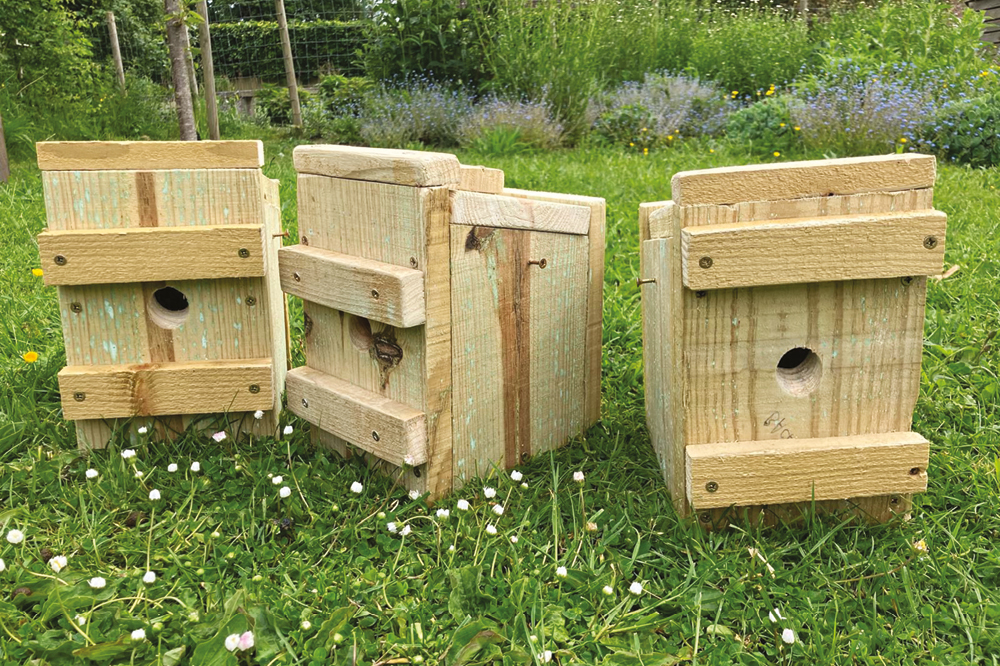 Dormice homes