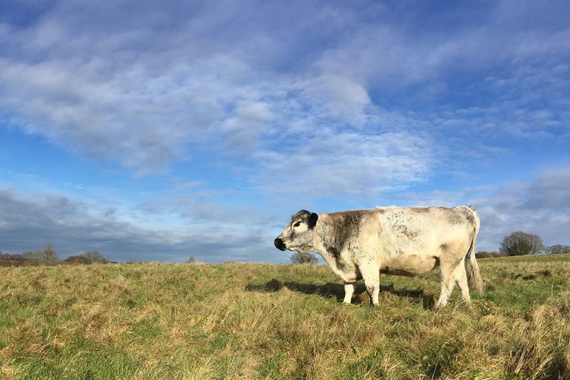 Chesworth Farm