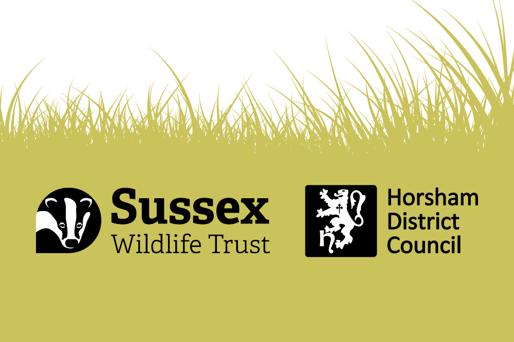 Sussex Wildlife Trust logo