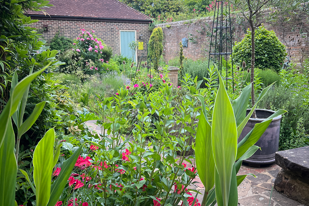 Museum garden