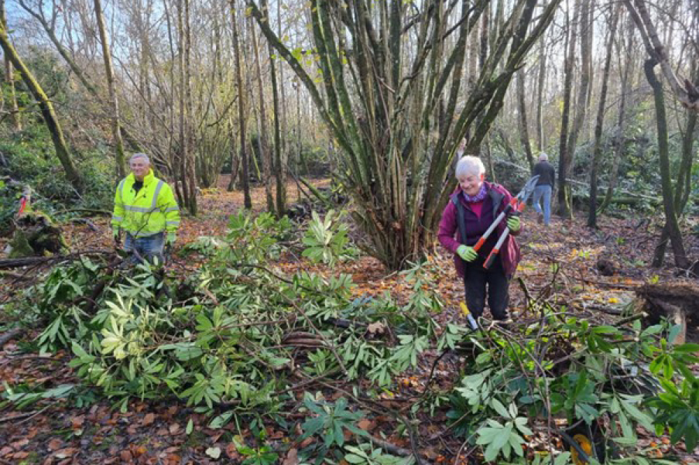 Volunteers at work