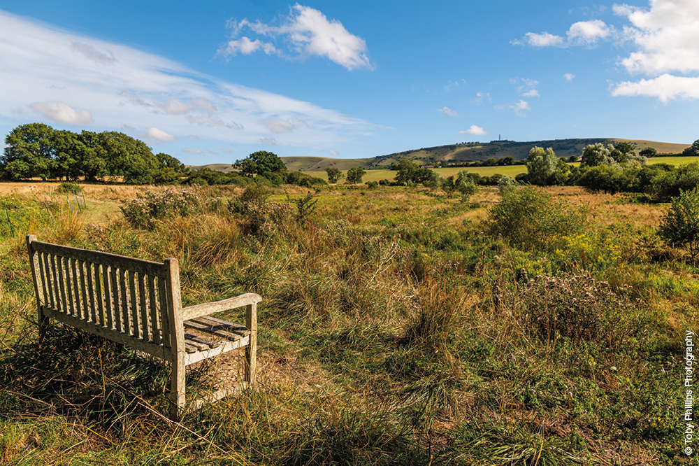 Bench image