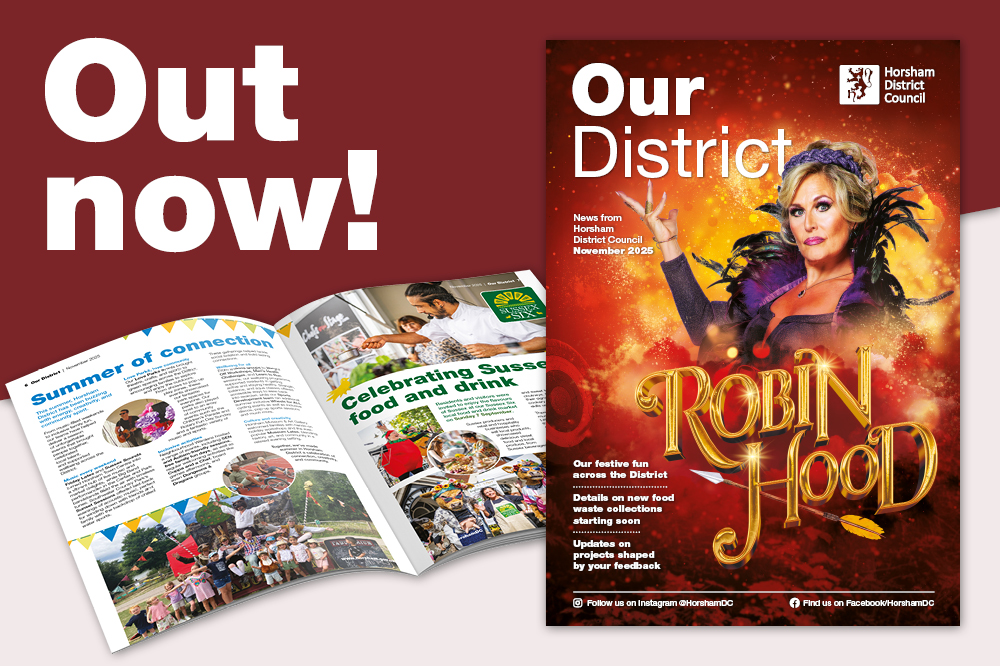 Nov 25 Out Now web banner