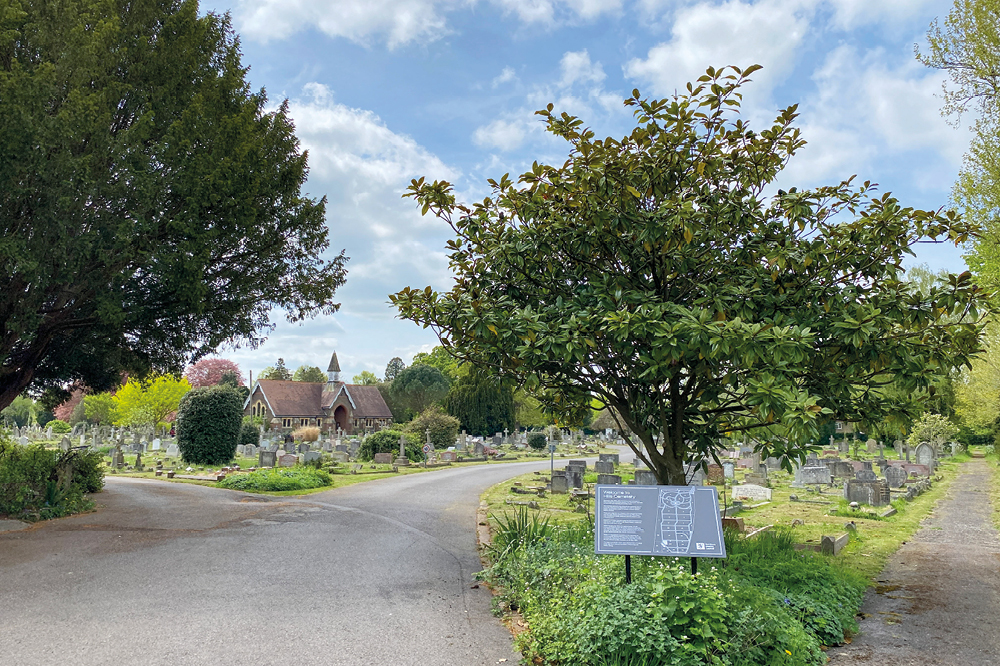 Hills Cemetery