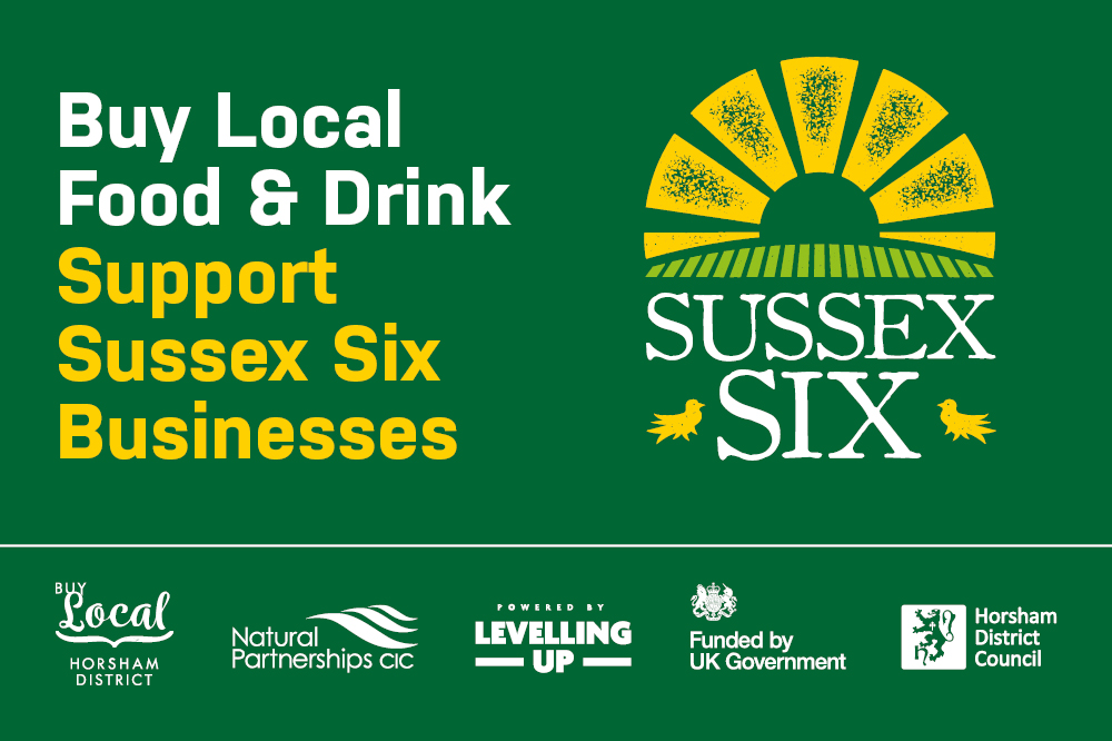 Sussex Six logo