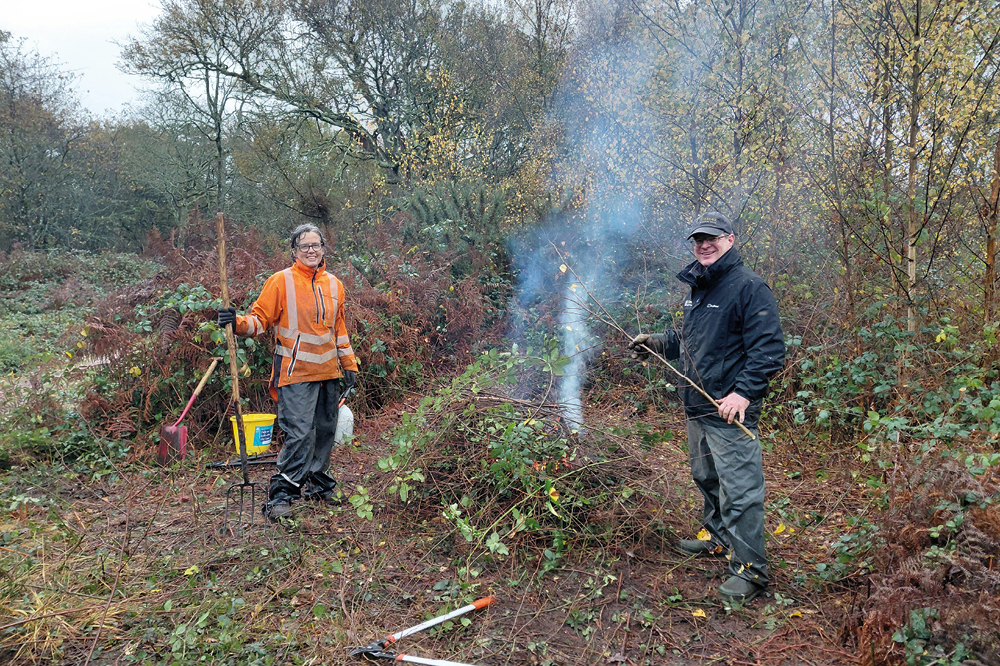 Restoring heathland