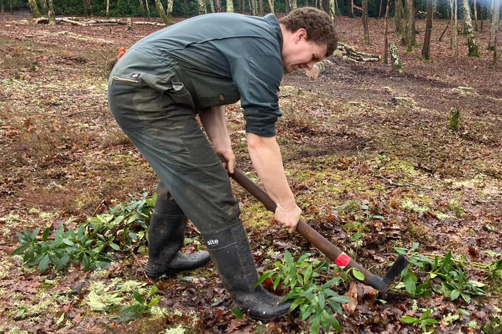 Managing heathland at Southgate park