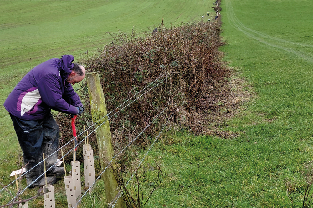 Hedgerow work on Sullington Manor Farm