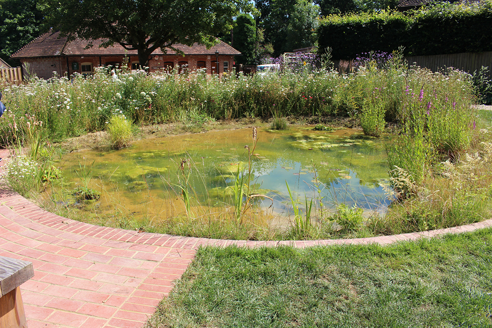 The new Shelley Wildlife Garden at Warnham Local Nature Reserve