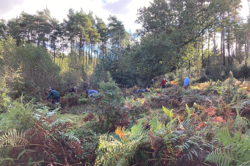 Volunteers at owlbeech woods