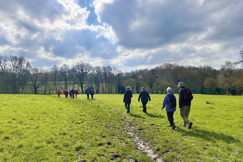 Horsham Park walkers