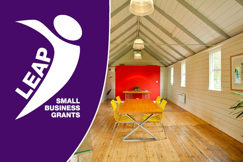 LEAP Small Business Grants