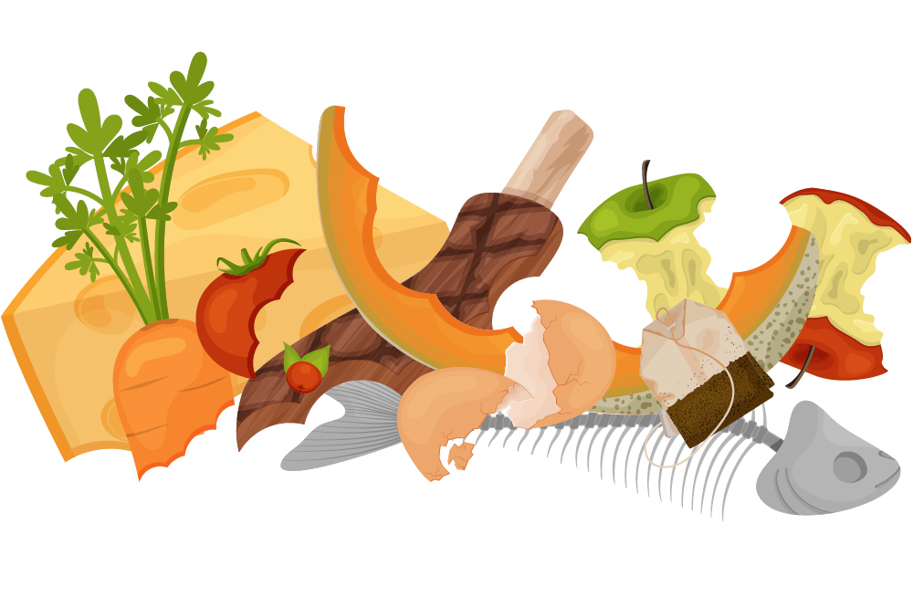 An illustration of food waste
