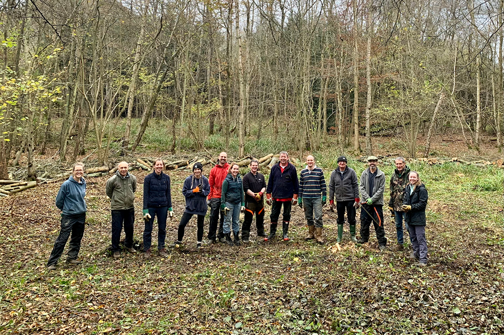 Volunteers in an open glade