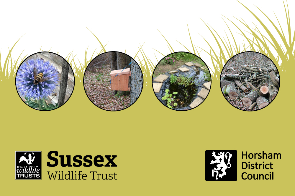 Sussex Wildlife Trust and Horsham District Council