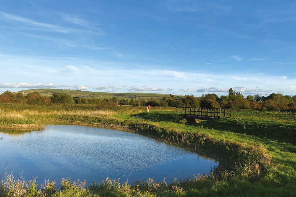 Constant improvement from our Parks and Countryside team