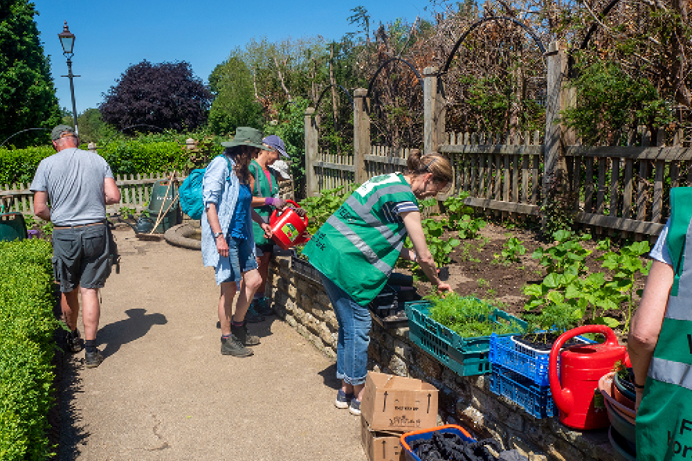 Friends of Horsham Park