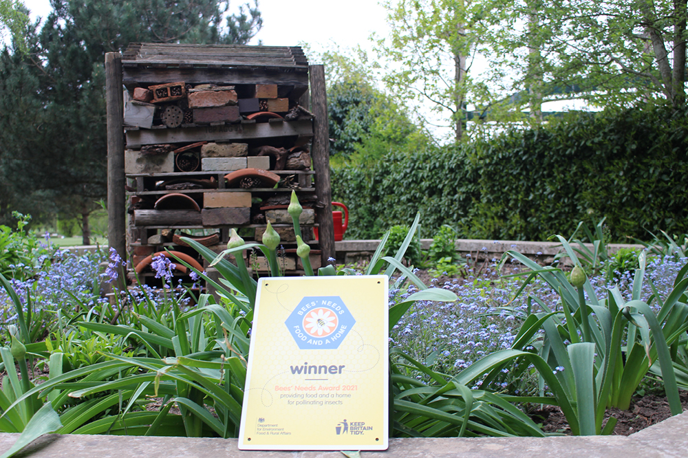 Bees Need Award for Horsham Park in front of a small bug hotel