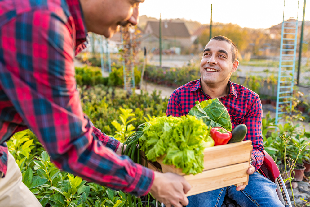 Community gardening