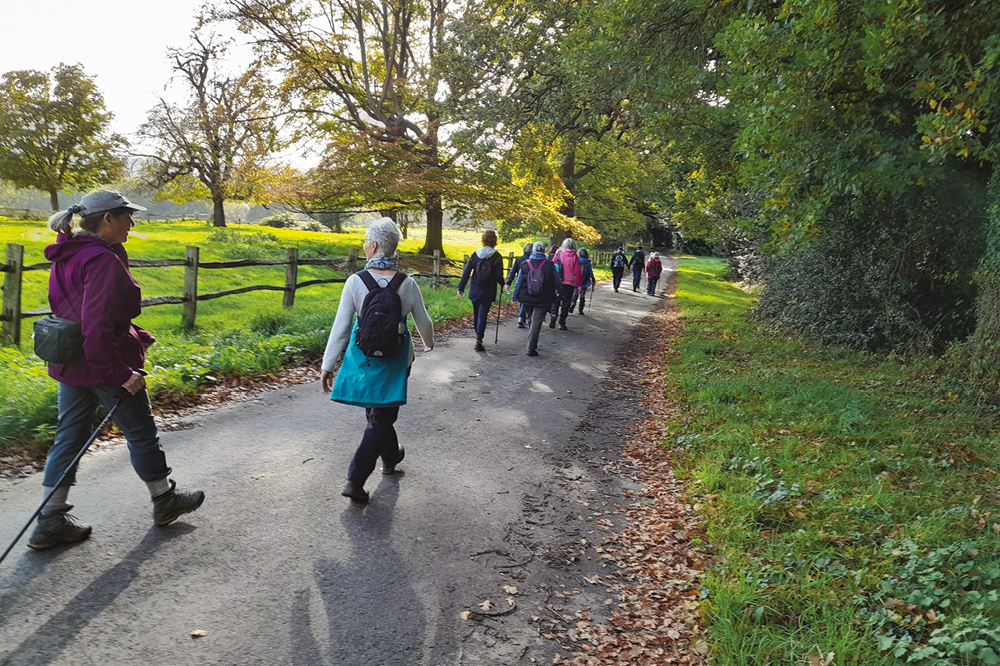 Wellbeing Walk