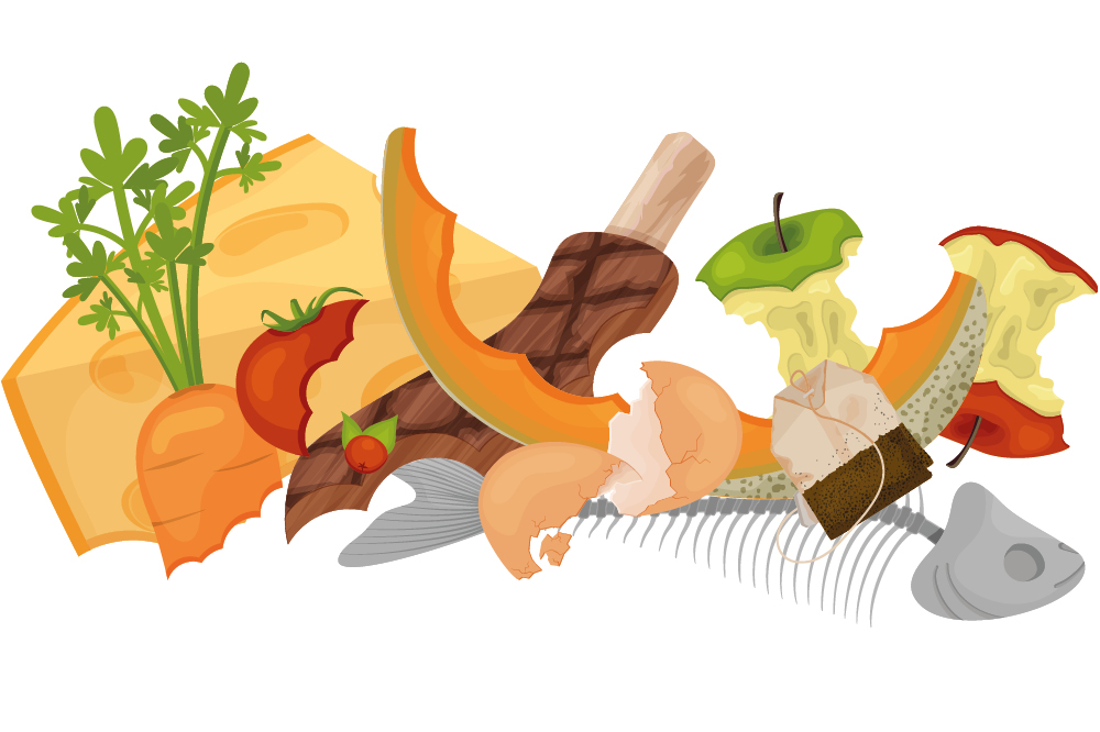 Food waste illustration