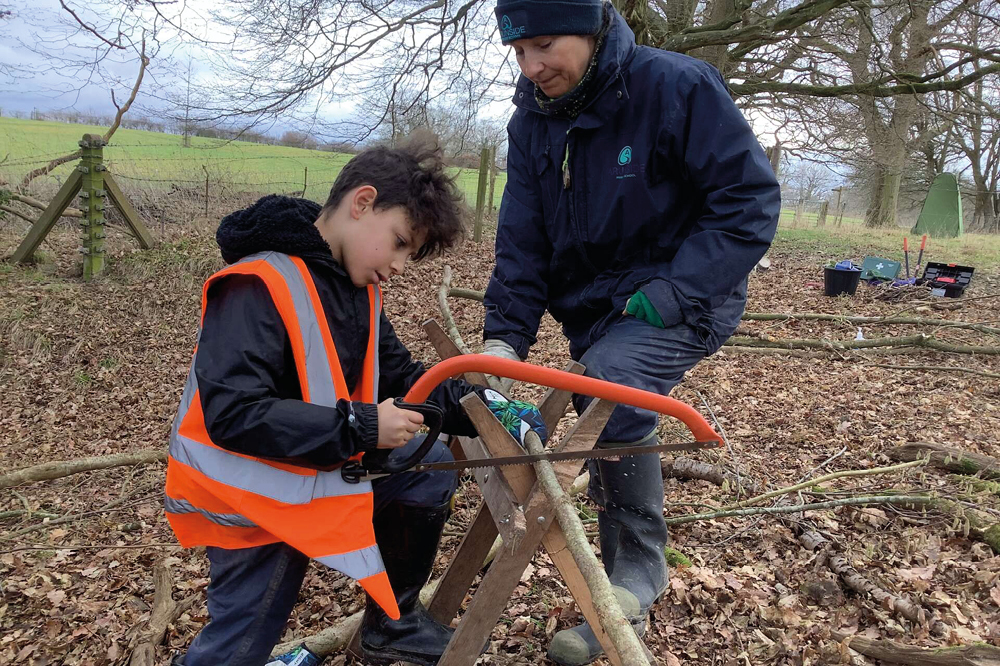 Boy sawing a tree