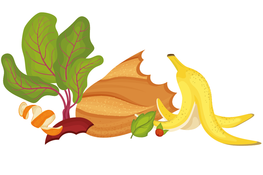 Food waste illustration 2